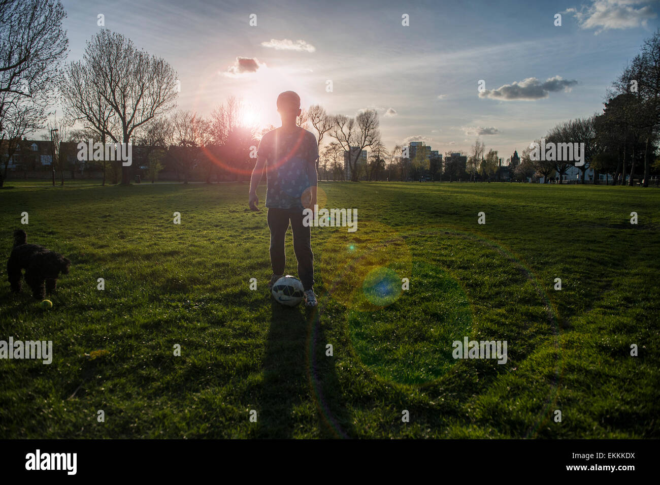 Ein Junge spielt Fußball in einem Londoner Park mit seinem Hund als die Sonne untergeht Stockfoto