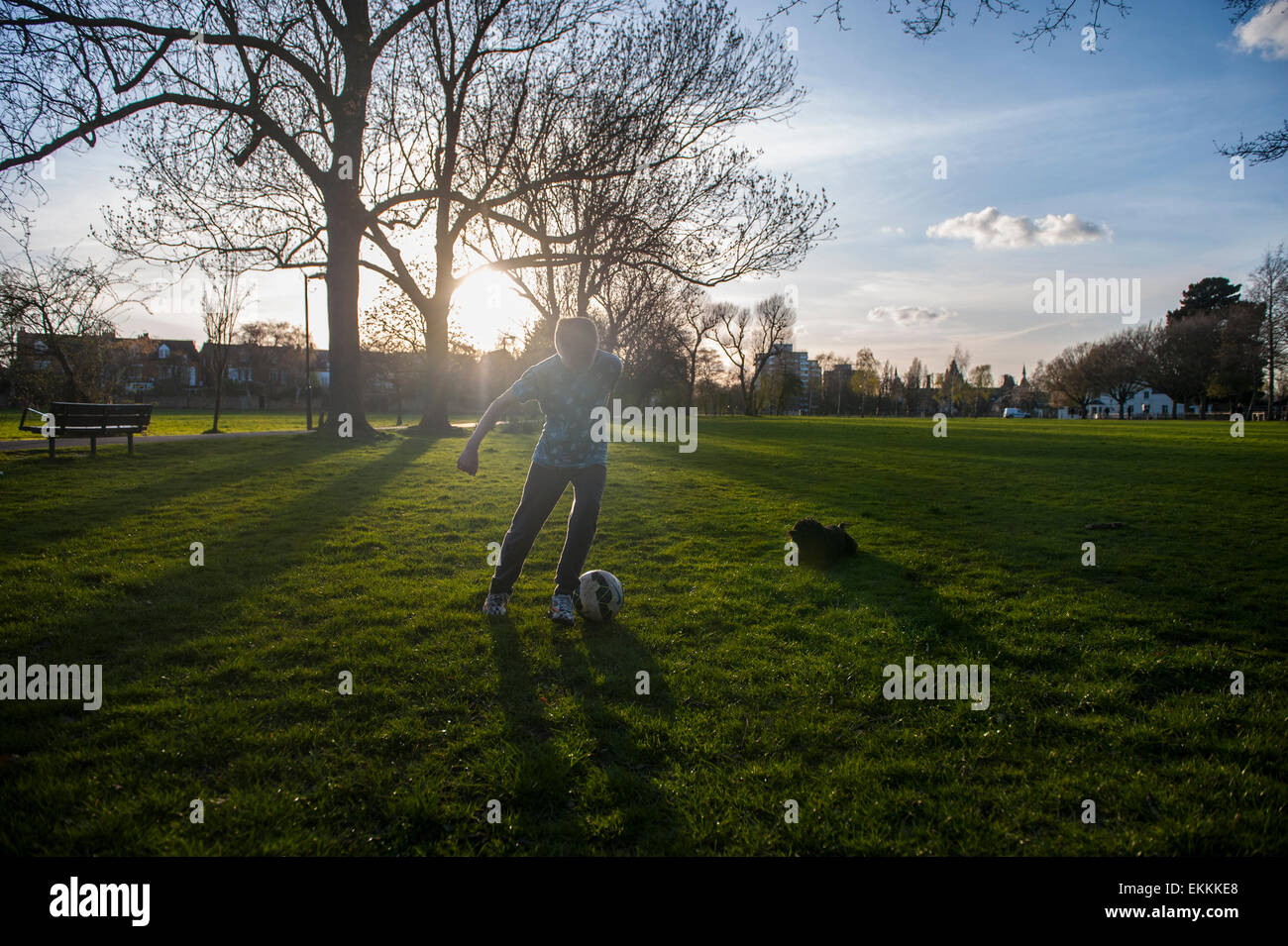 Ein Junge spielt Fußball in einem Londoner Park mit seinem Hund als die Sonne untergeht Stockfoto
