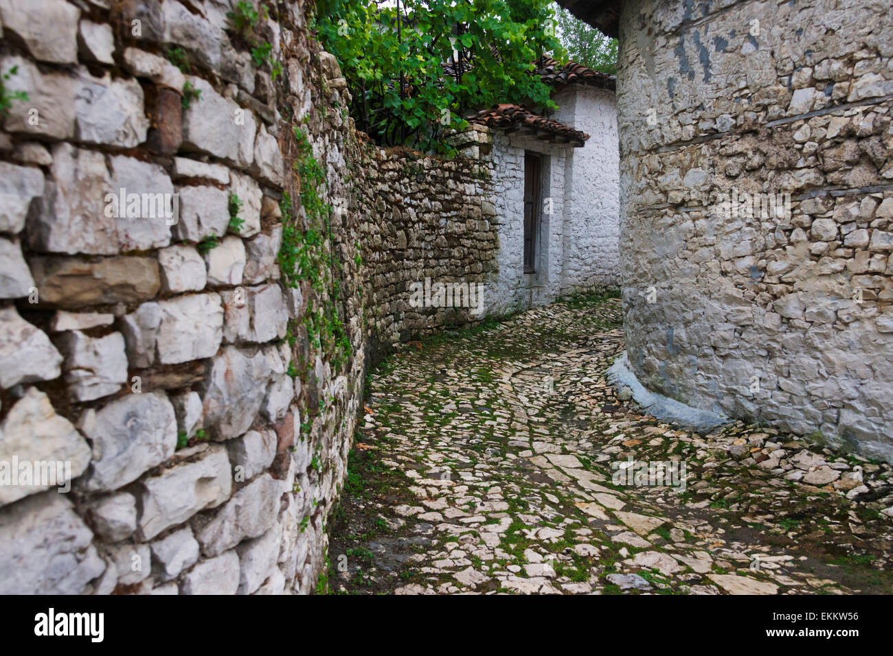 Die Zitadelle und die Burg von Berat (UNESCO-Weltkulturerbe), Albanien Stockfoto