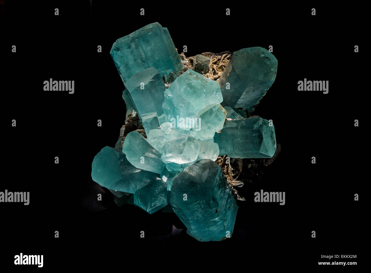 Leichte blaue Kristalle von Aquamarin, eine Vielzahl von Mineral Beryll. Stockfoto