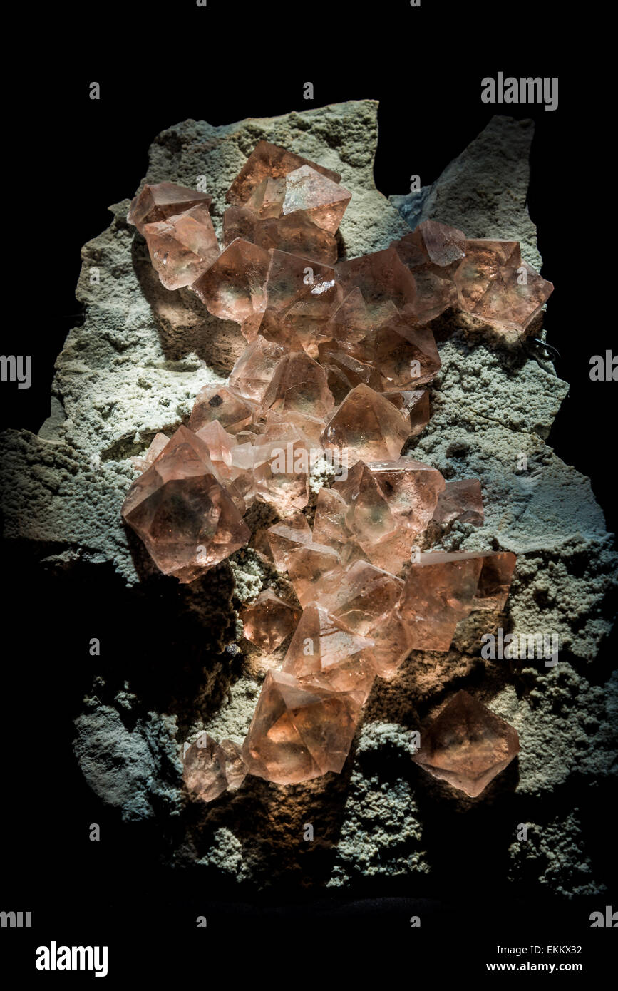 Rosa Kristalle von Mineral Flussspat, Calciumfluorid, CaF2. Stockfoto