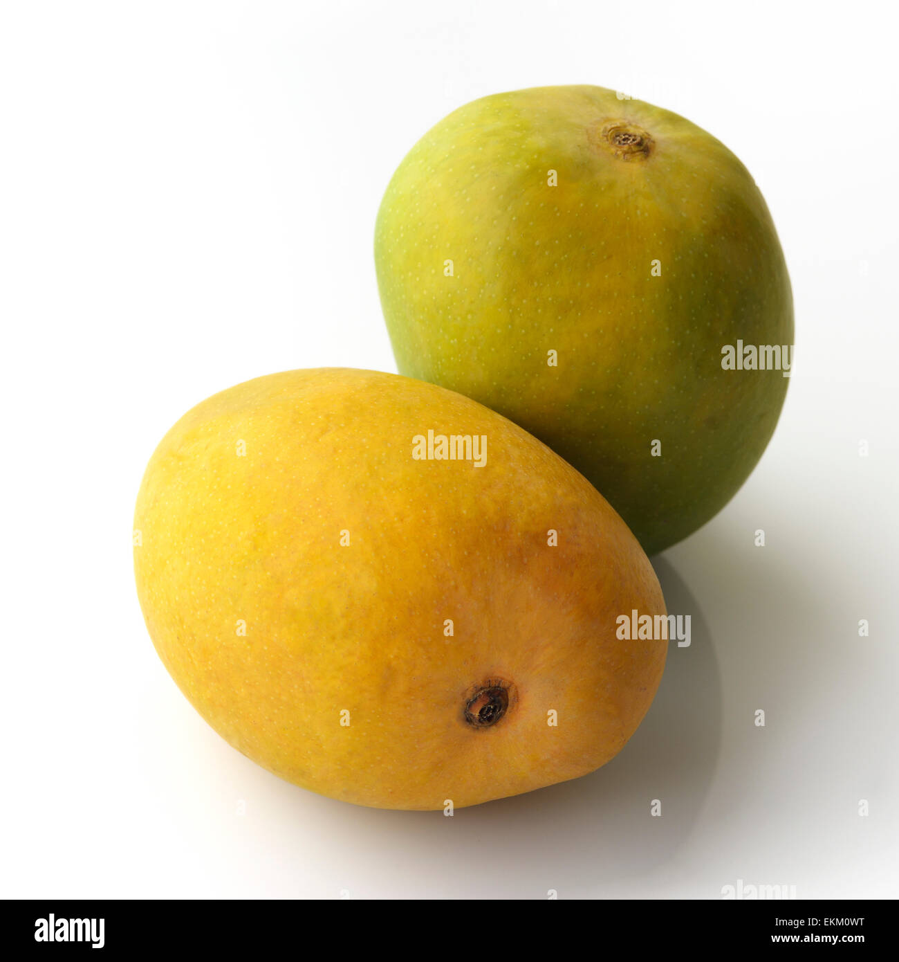 Grünen und gelben Mangos Stockfoto