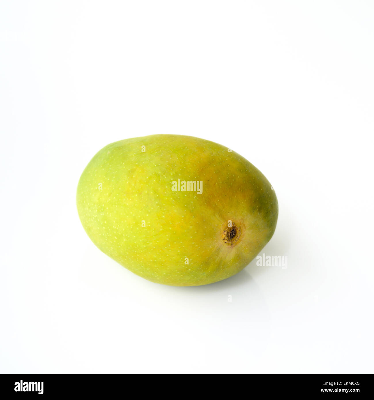 Green Alphonso Mango auf weiß Stockfoto