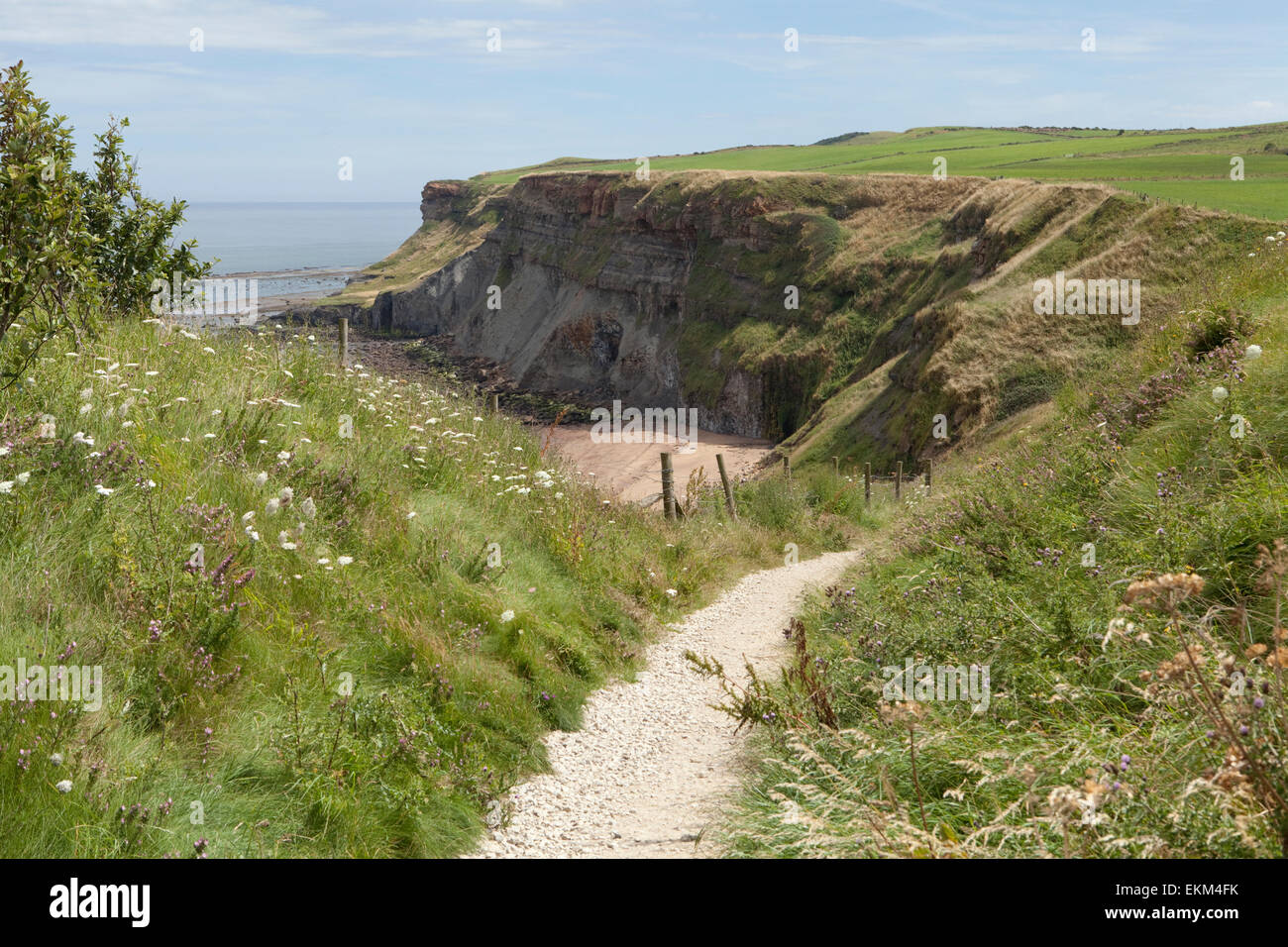 Ein Fußweg an den Klippen des Strandes von Saltwick Bay, in der Nähe von Whitby in North Yorkshire. Großbritannien Stockfoto