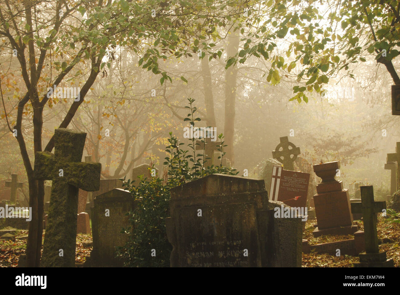 Highgate Cemetery - ein Ort des Friedens Stockfoto