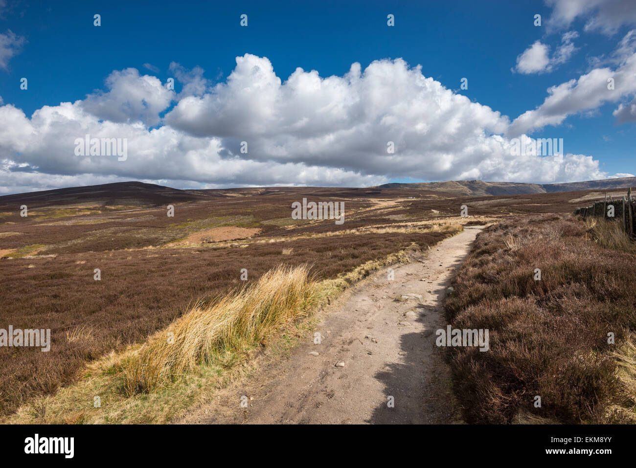 Der Snake Path auf dem Moorland oberhalb von Hayfield im Peak District, Derbyshire. Sonniger Frühlingstag auf den Hügeln. Blick auf Kinder Scout. Stockfoto