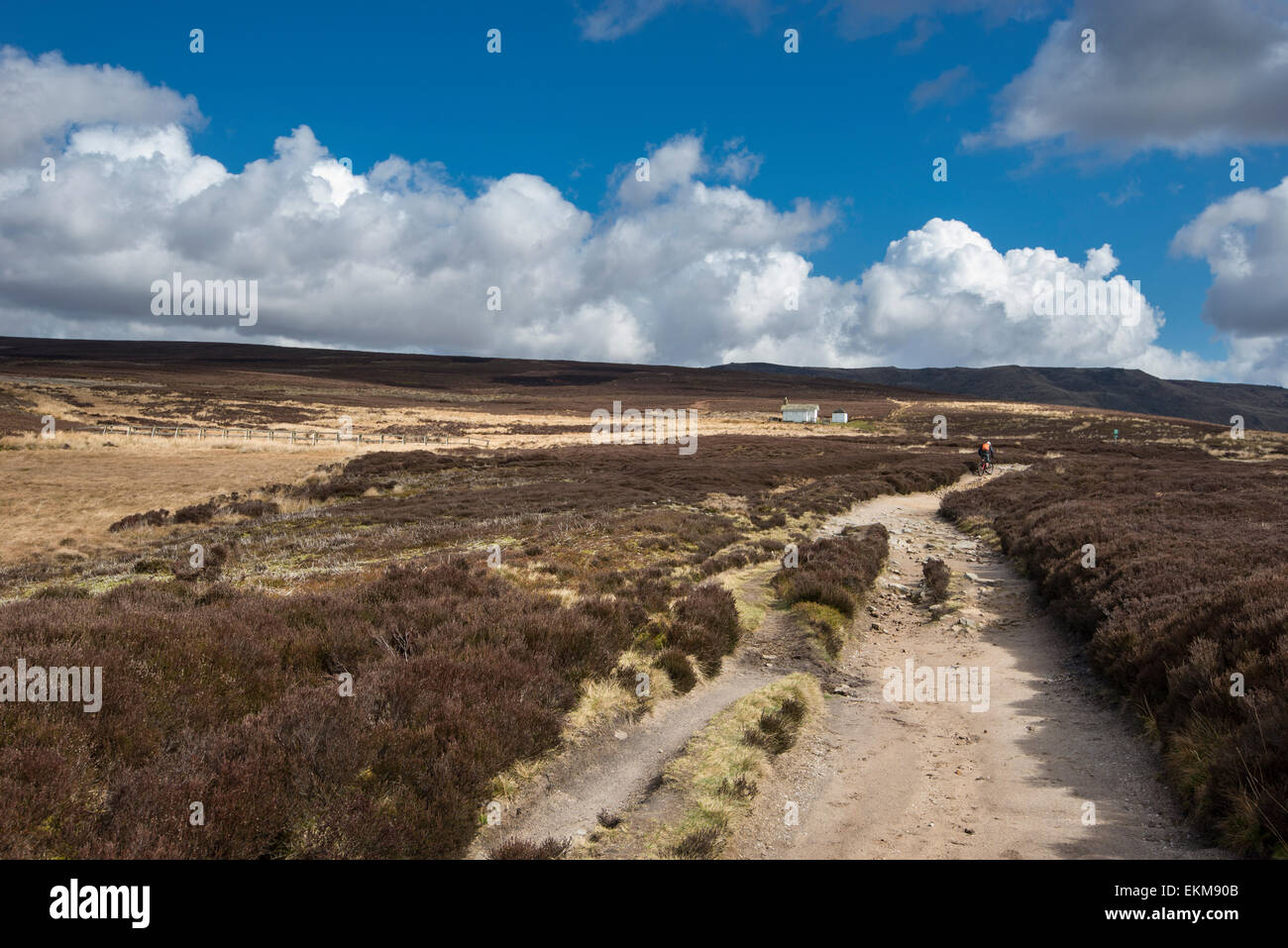 Die Schlange Weg auf Moorland oberhalb Hayfield, Derbyshire. Eine offene Landschaft mit Weg, eine alte Hütte schießen. Stockfoto