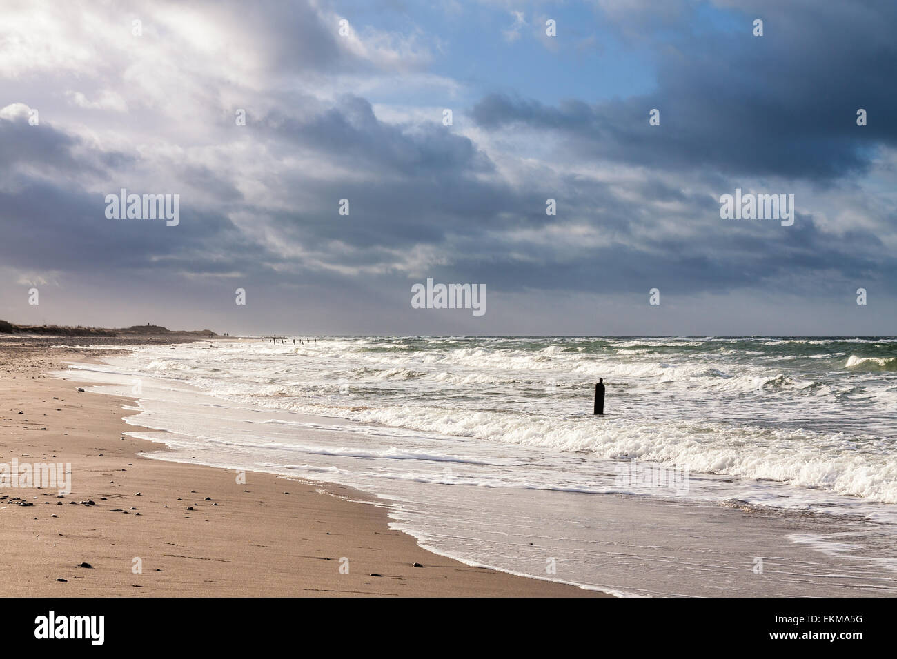 Buhnen am Ufer der Ostsee Stockfoto