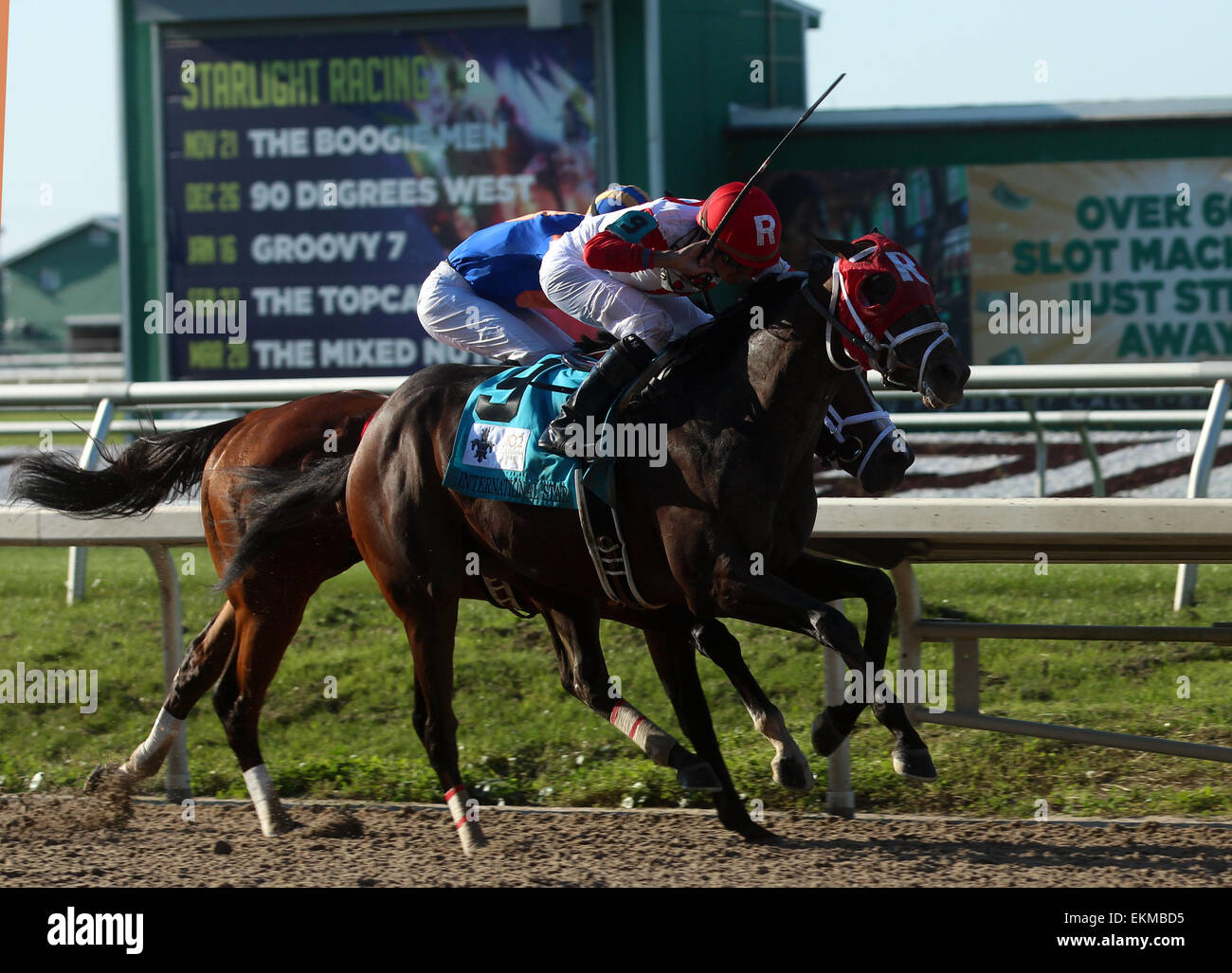 28. März 2015 - New Orleans, LA, USA - 28. März 2015 International Star, geritten von Miguel Mena, gewinnt das G2 Louisiana Derby über Stanford (Florent Geroux). Eigentümer Ken und Sarah Ramsey, Trainer Michael J. Maker. © Mary M. Meek/ESW/CSM Stockfoto