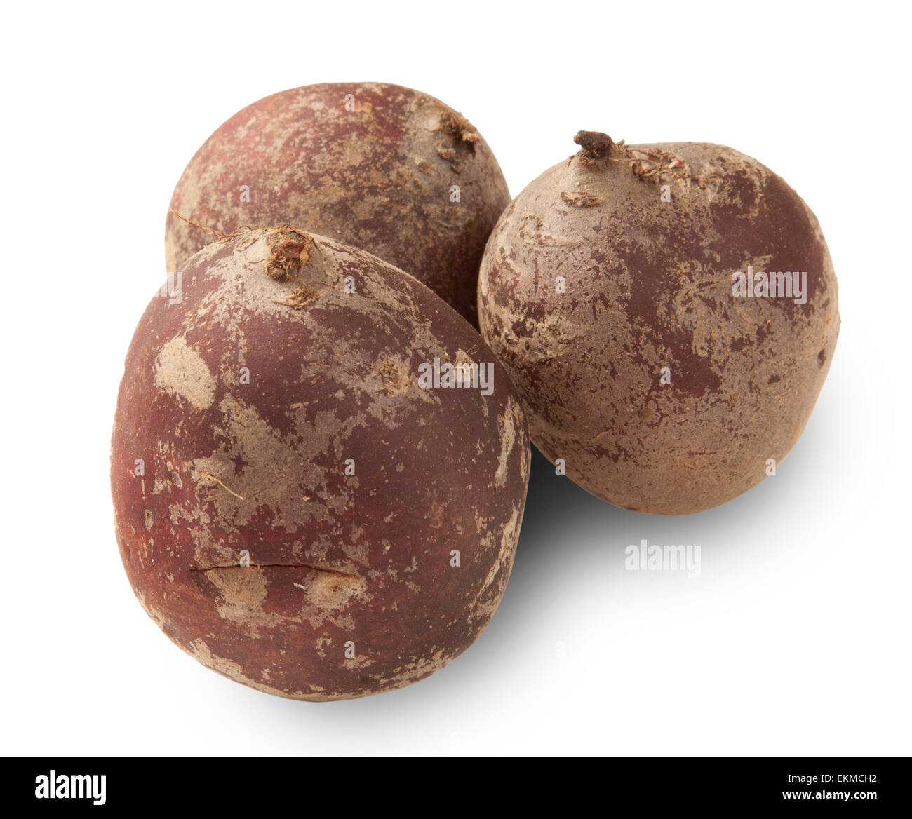 Rüben Wurzeln isoliert auf weißem Hintergrund Stockfoto
