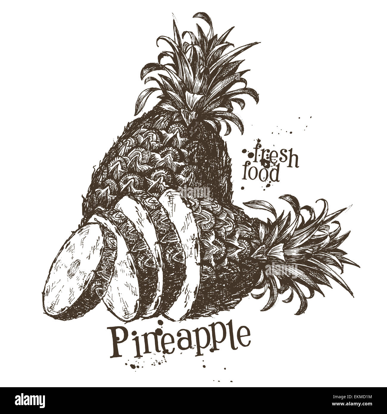 Ananas-Vektor-Logo-Design-Vorlage. Symbol für Obst oder Essen. Stockfoto