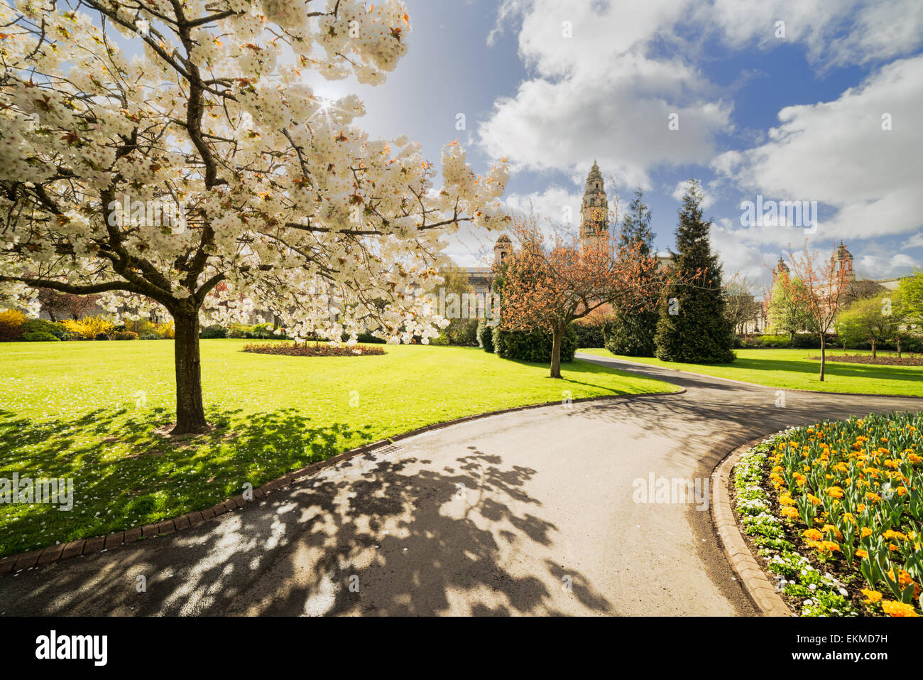 Cardiff City Hall-Ansicht aus Cathays Park mit Blumen in den Vordergrund und zum Hauptgebäude mäandernden Weg. Stockfoto