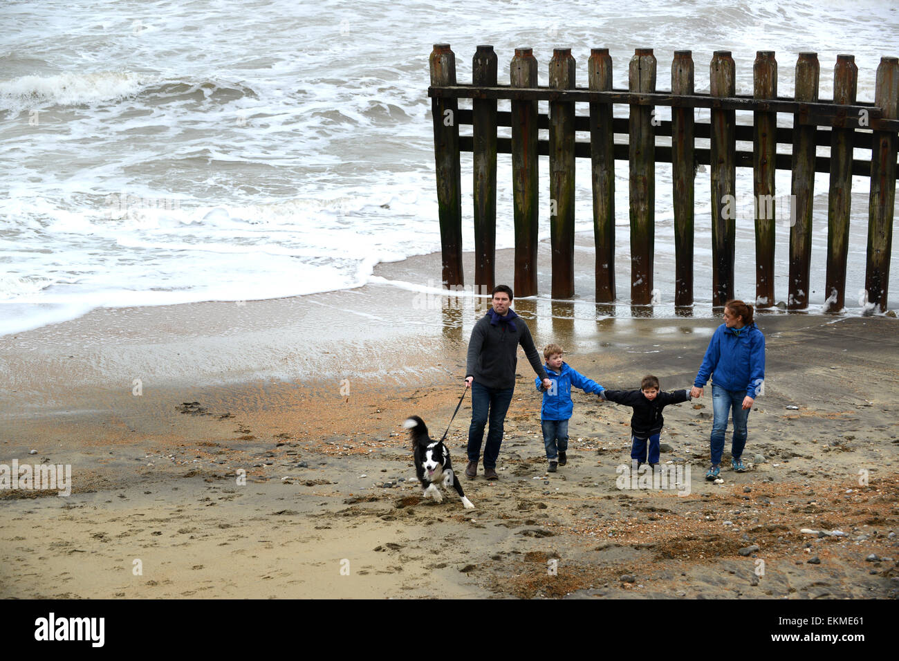 Hund der Familie zu Fuß am Strand von Ventnor Isle Of Wight Stockfoto