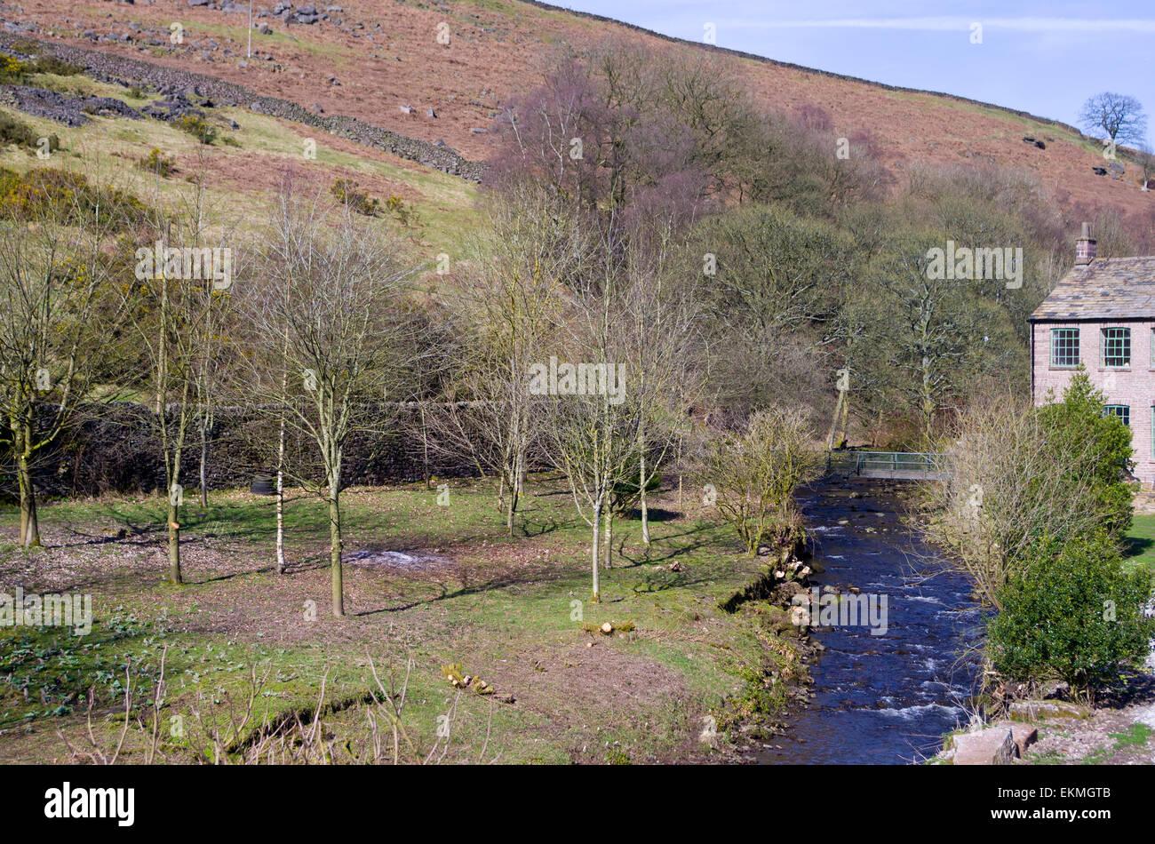Fluss Dane, Dane Valley, Peak District National Park, Staffordshire, England, Vereinigtes Königreich, im Frühjahr Stockfoto