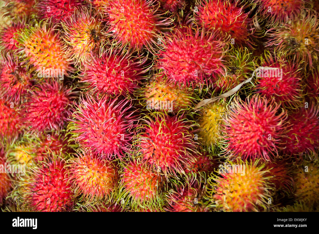 Rambutan Früchte Stockfoto