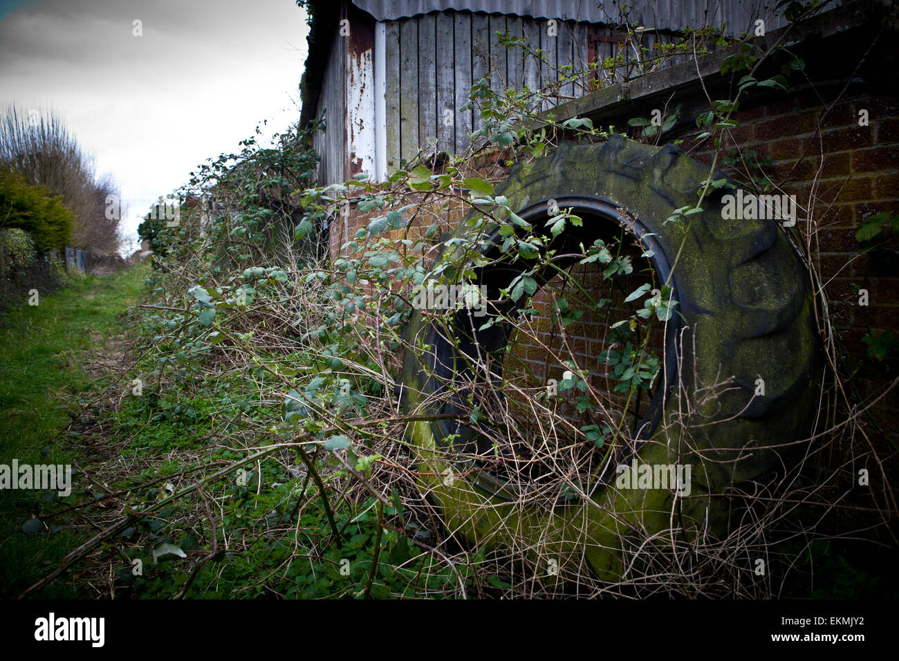 Gebrauchte Traktorreifen, Suffolk Stockfoto