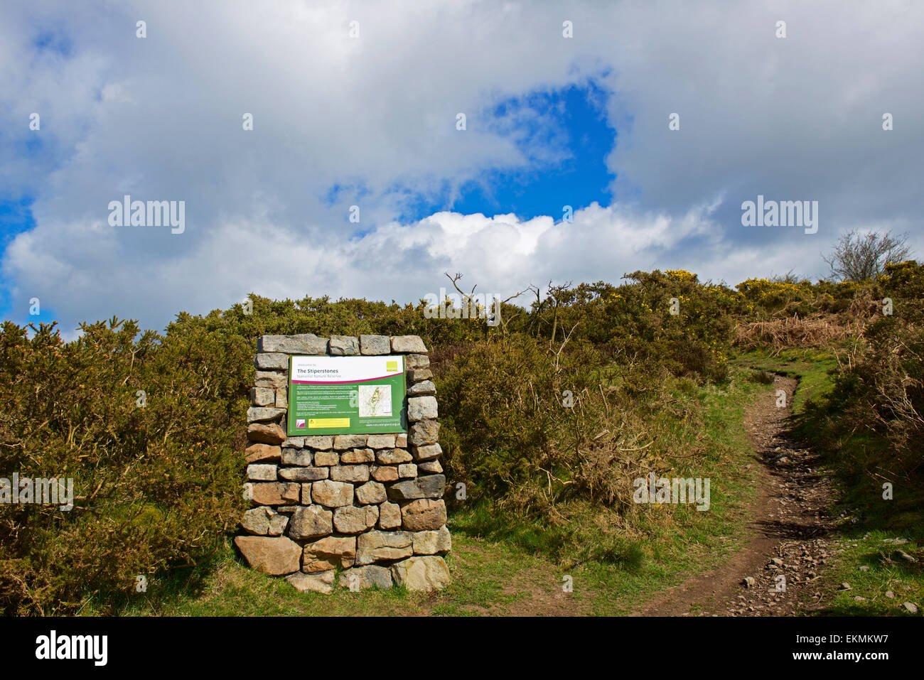 Stiperstones, ein nationales Naturreservat in Shropshire, England UK Stockfoto