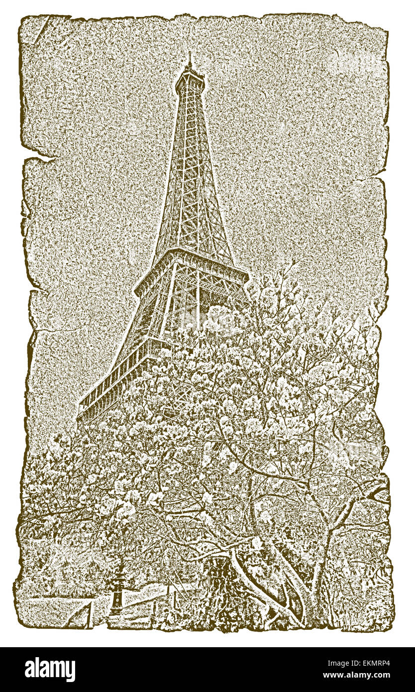 Eiffelturm mit blühenden Frühling Baum in Paris auf Vintage-Papier Stockfoto