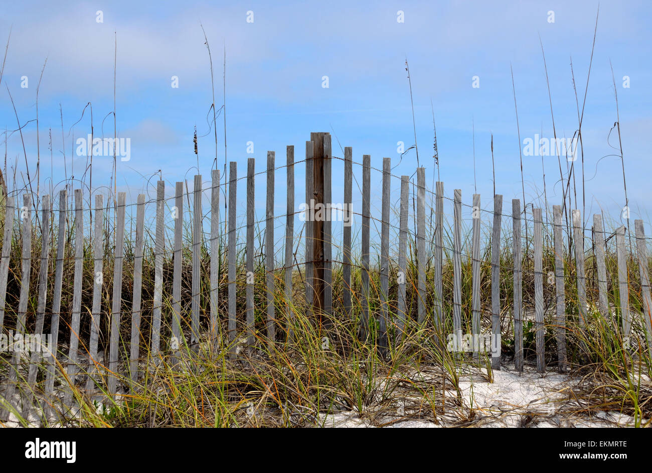 Verwitterte Strand Zaun mit Gräsern und weißem Sand, befindet sich an einem Strand in Florida Stockfoto