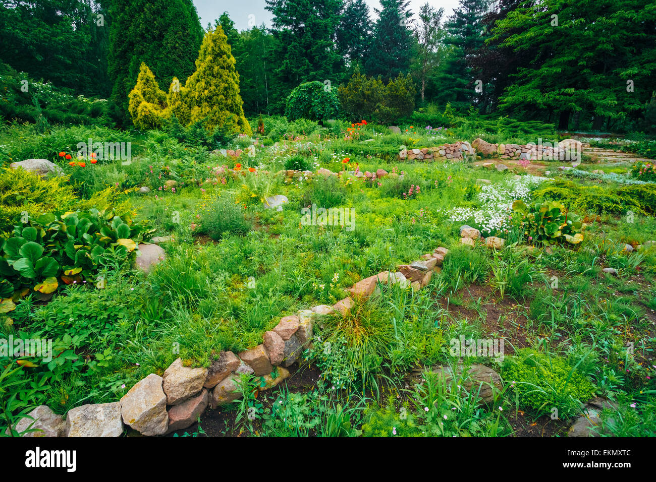 Blumenbeet Kleine Grune Baume Und Folienschnitt Straucher Im