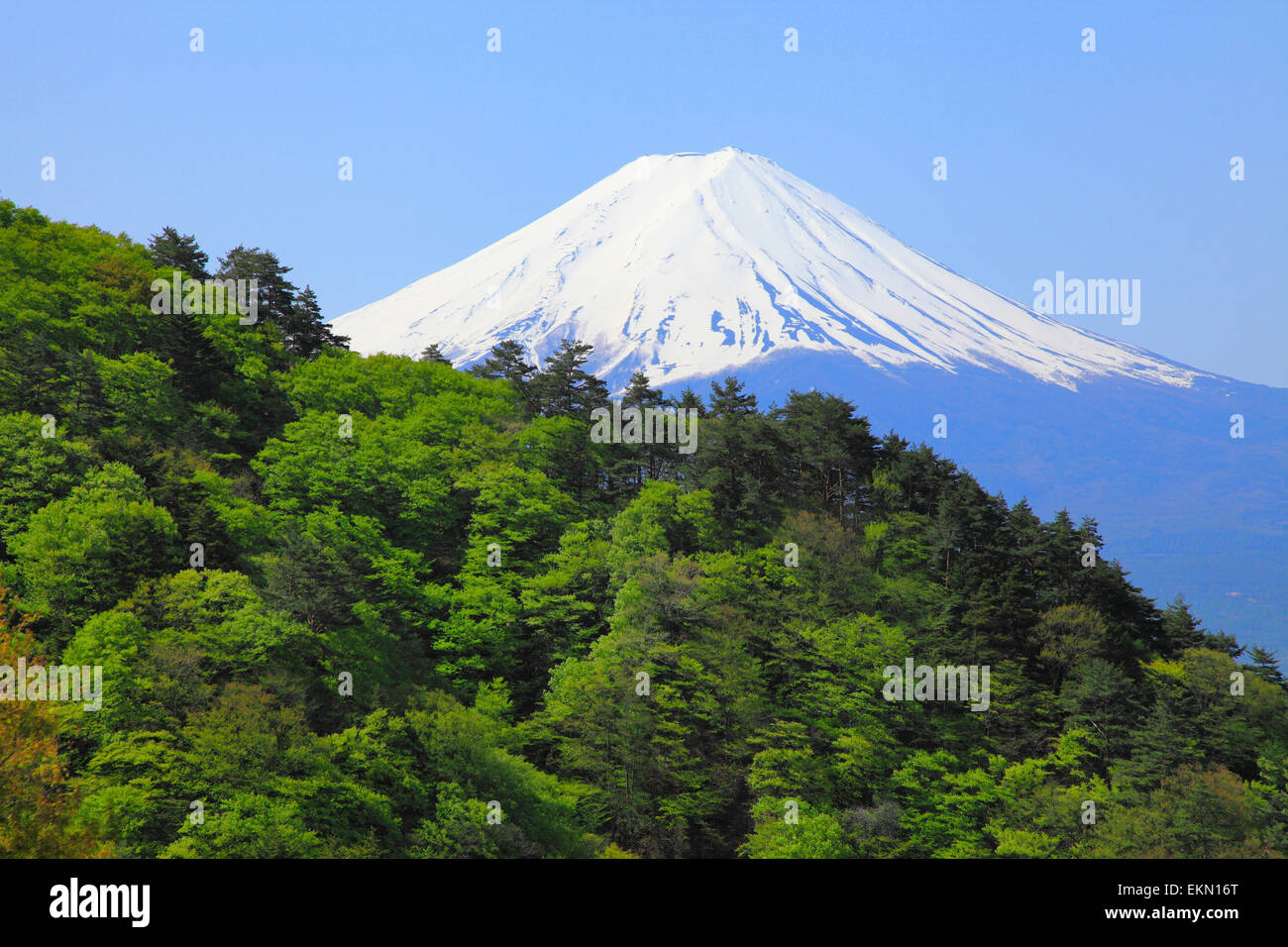 Yamanashi Präfektur, Japan Stockfoto