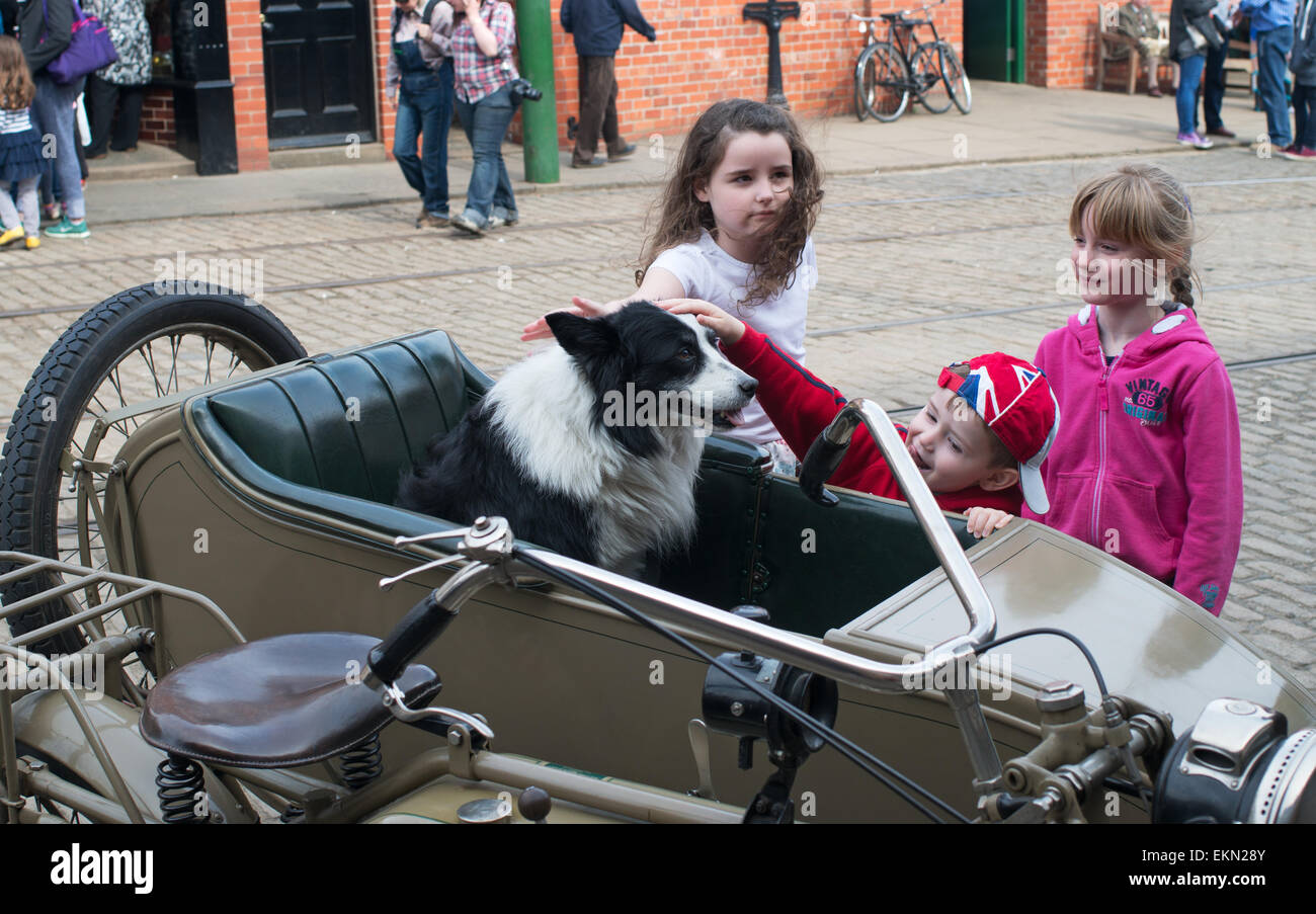Hund Im Motorrad Seitenwagen Stockfotos und bilder Kaufen Alamy
