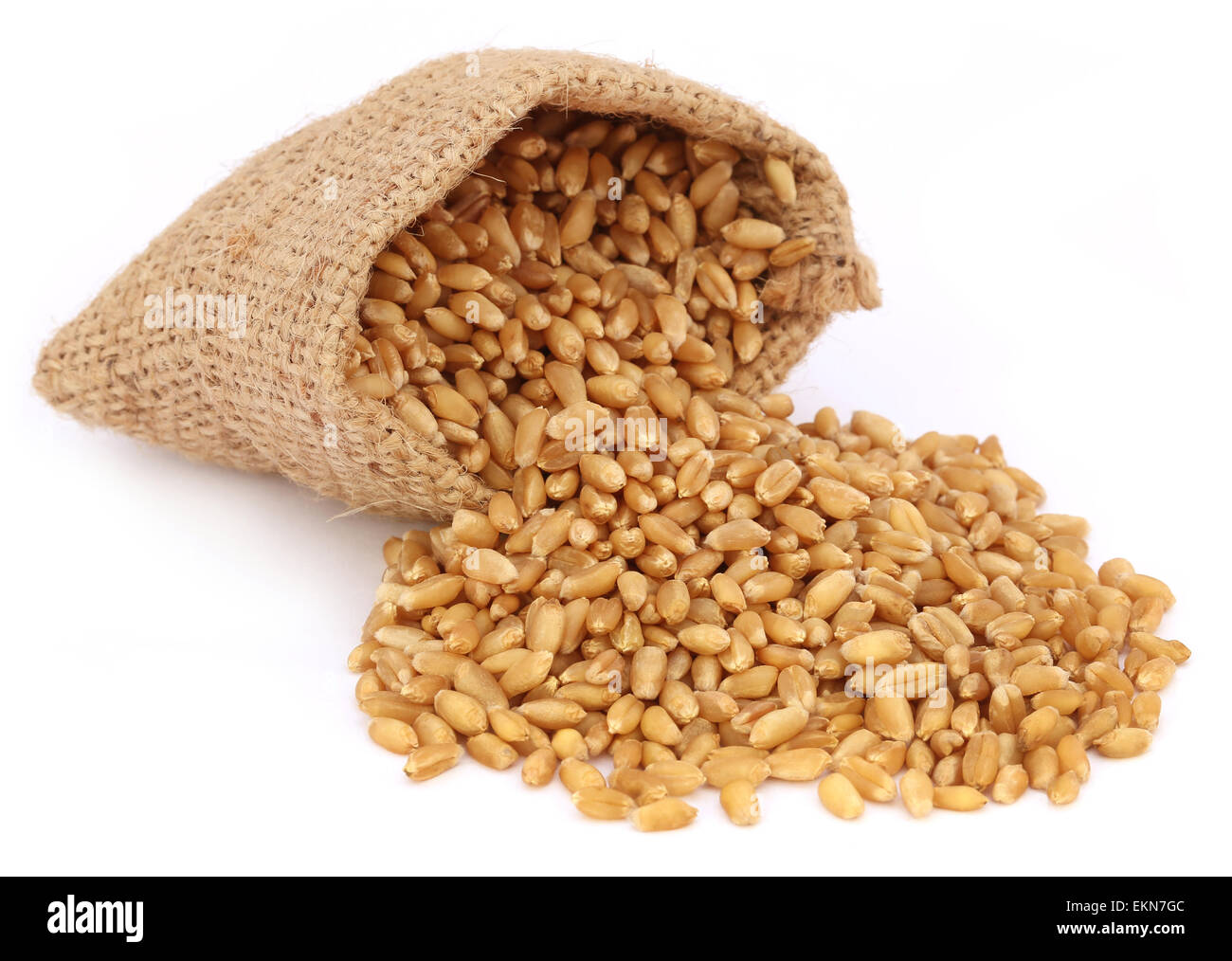 Weizen in einem Sack Tasche auf weißem Hintergrund Stockfoto