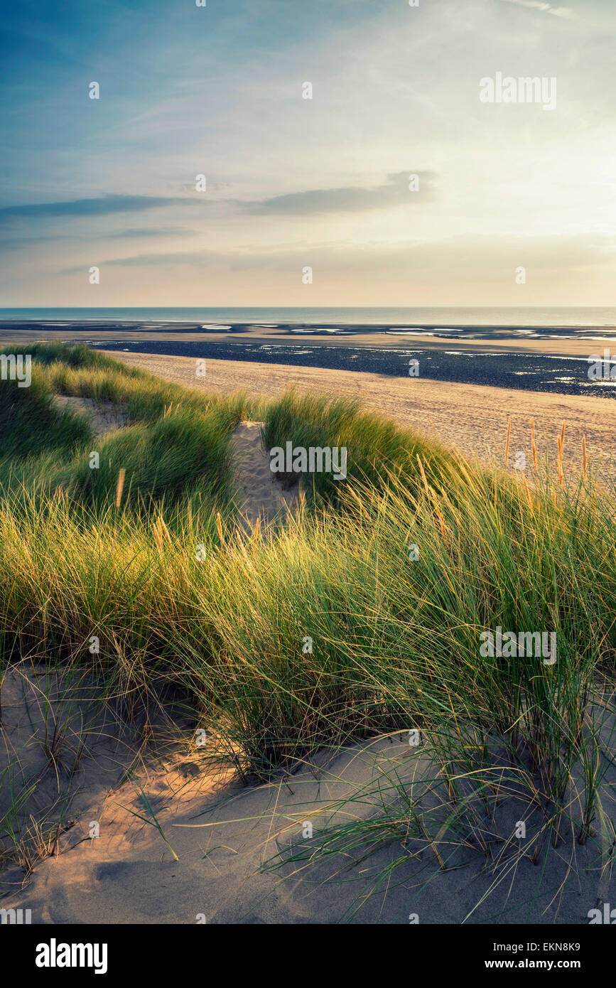 Am Abend Sommerlandschaft über grasbewachsenen Sanddünen am Strand mit Instagram Effektfilter Stockfoto