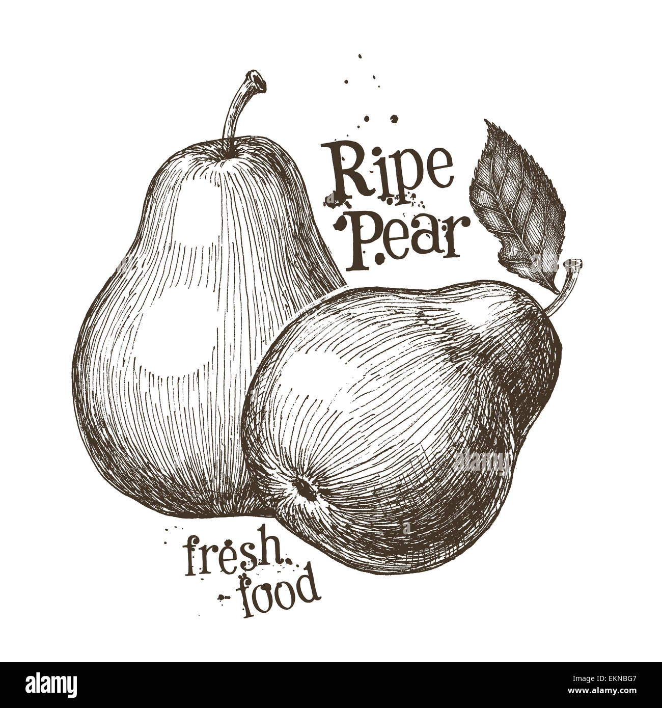 Birne-Vektor-Logo-Design-Vorlage. Obst oder frische Lebensmittel-Symbol. Stockfoto Birne-Vektor-Logo-Design-Vorlage. Obst oder frische Lebensmittel-Symbol. Stockfoto
