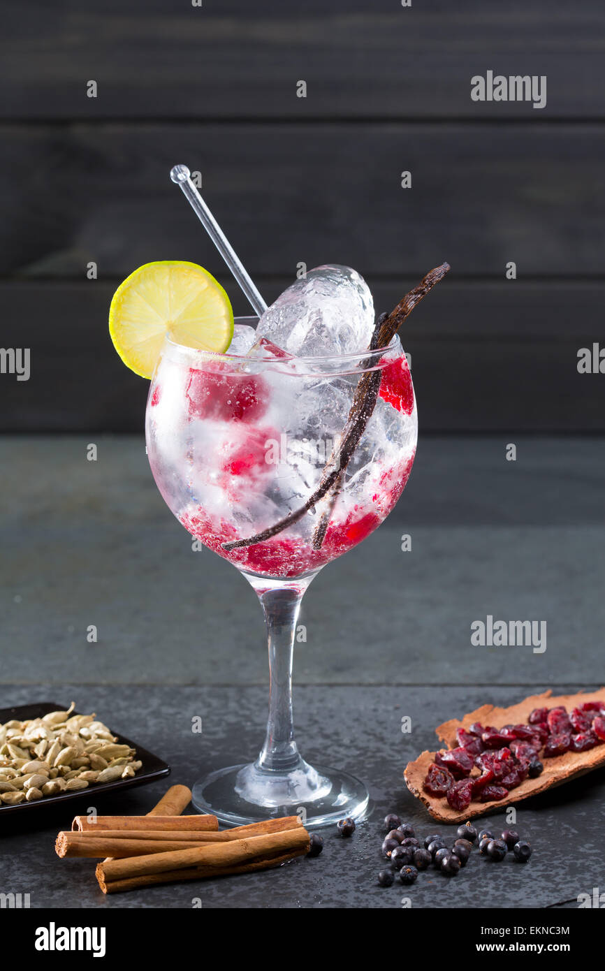Gin Tonic cocktail mit Eis und Vanille Himbeer Lima Scheibe