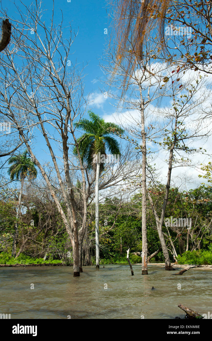 Dominikanische Republik, Südwesten, Halbinsel Nachbardorf, Parque Nacional Lago Enriquillo, Stockfoto