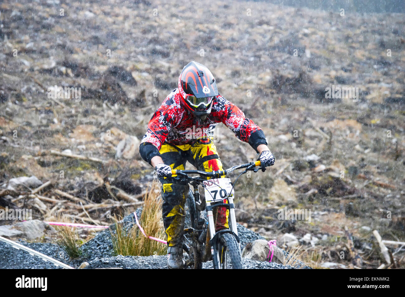 Fahrer während der nördlichen Abfahrt Kielder TT Mountainbike-Rennen. Stockfoto