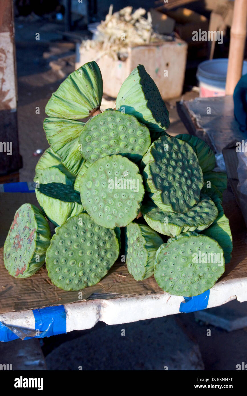 Lotossamen Früchte stehen zum Verkauf als street Food-Snacks in Kampong Cham, Kambodscha. Stockfoto