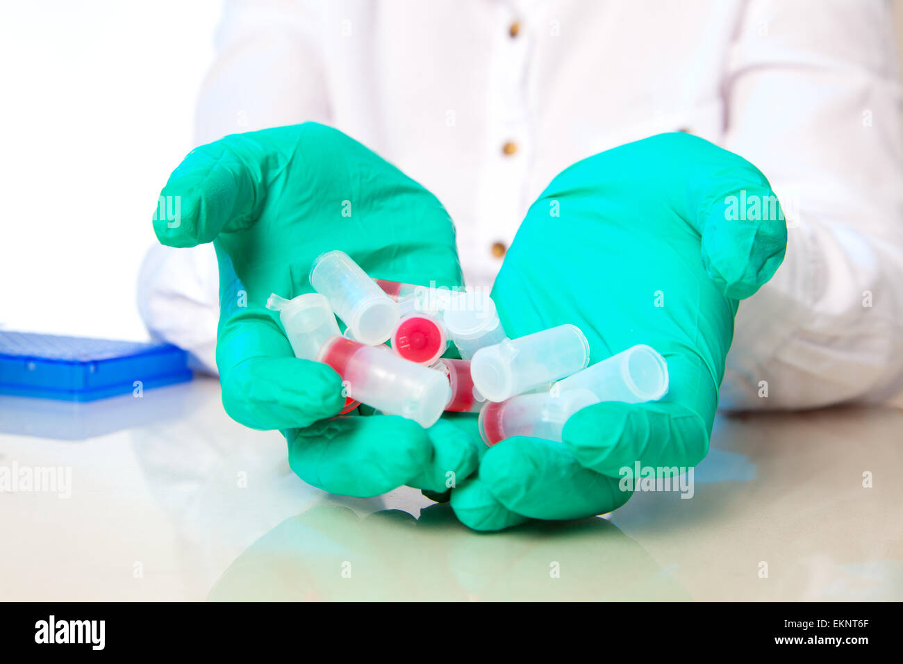 Mikroröhrchen mit biologischen Proben in der Hand. biologisches labor Stockfoto