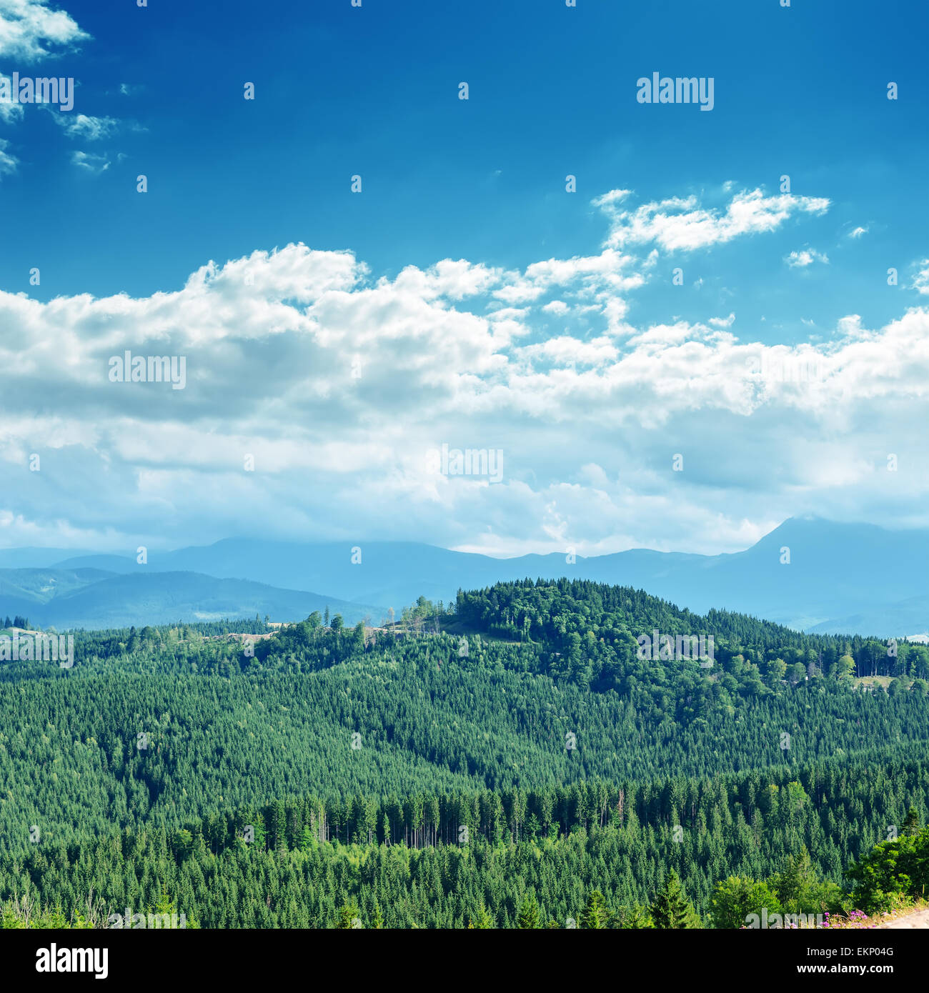 Berg von niedrigen Wolken bedeckt Stockfoto