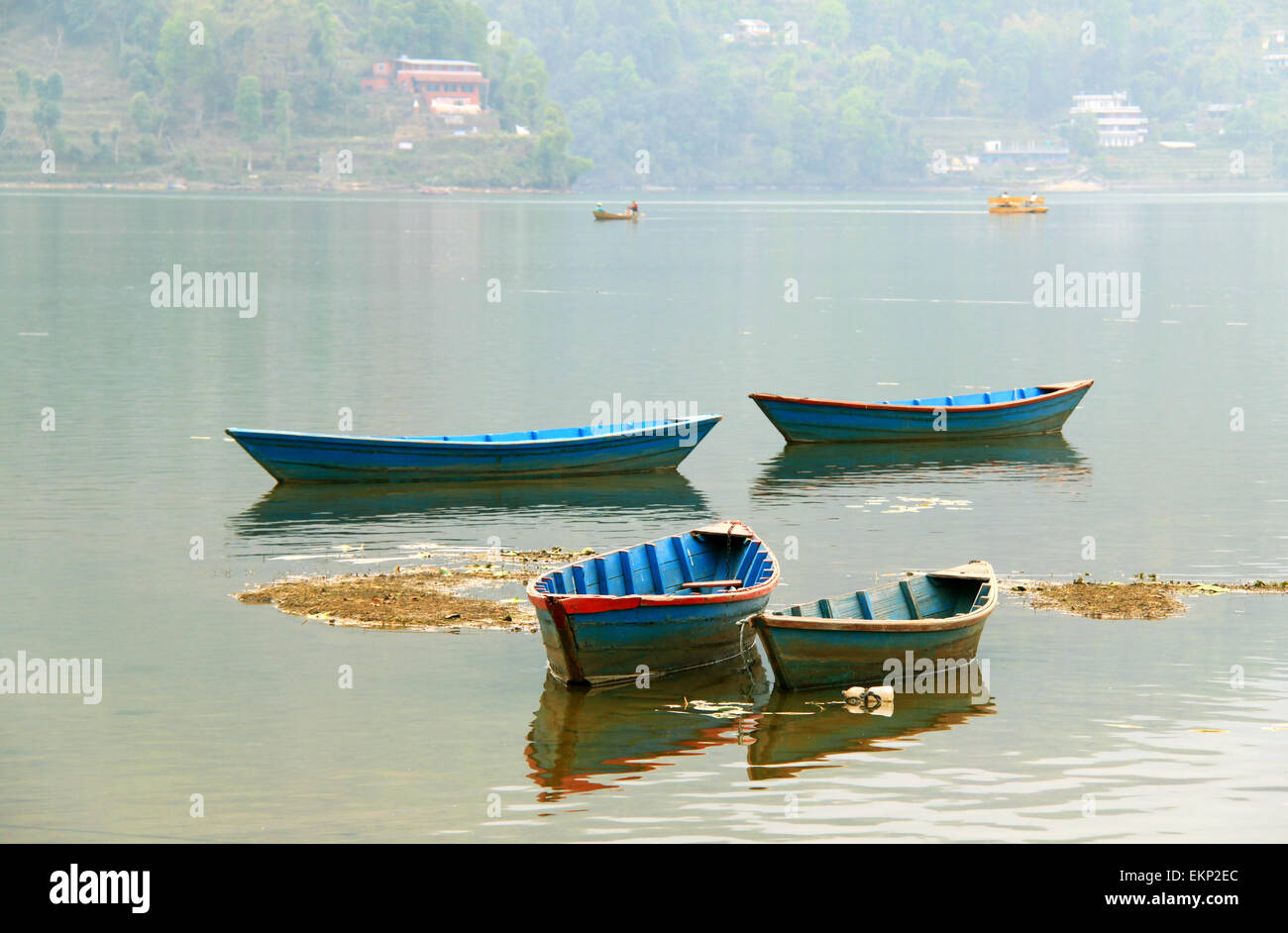 Boote am Phewa-See in Pokhara, Nepal Stockfoto