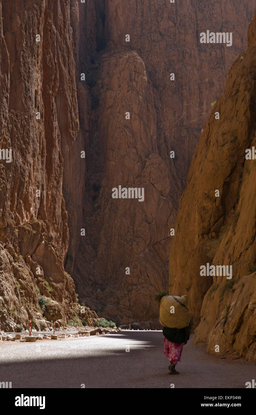 Todra Schlucht ist eine Schlucht im östlichen Teil des hohen Atlas-Gebirge in Marokko, in der Nähe der Stadt Tinghir. Sowohl die Todra ein Stockfoto