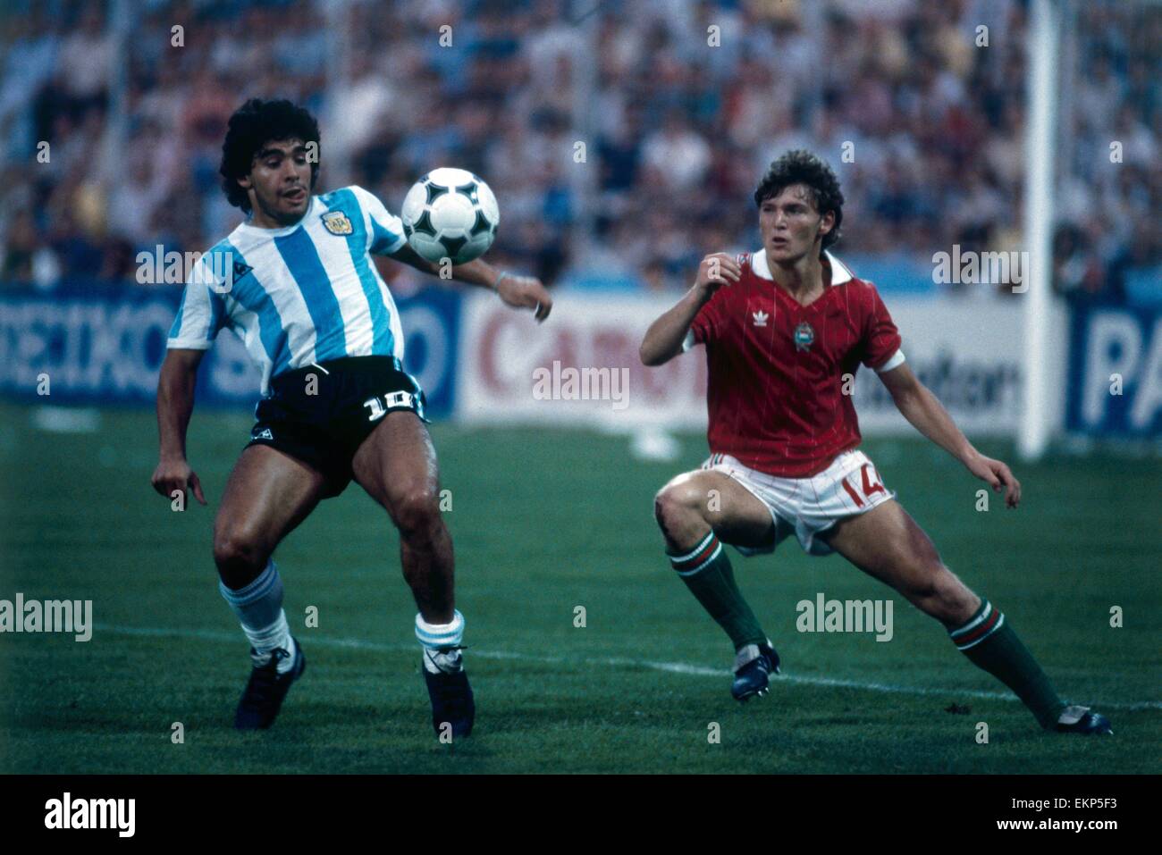 1982 World Cup Gruppe drei entsprechen in Alicante, Spanien. Argentinien 4 V Ungarn 1. Argentiniens Diego Maradona kämpft um den Ball mit dem Ungarn Sandor Sallai. 18. Juni 1982. Stockfoto