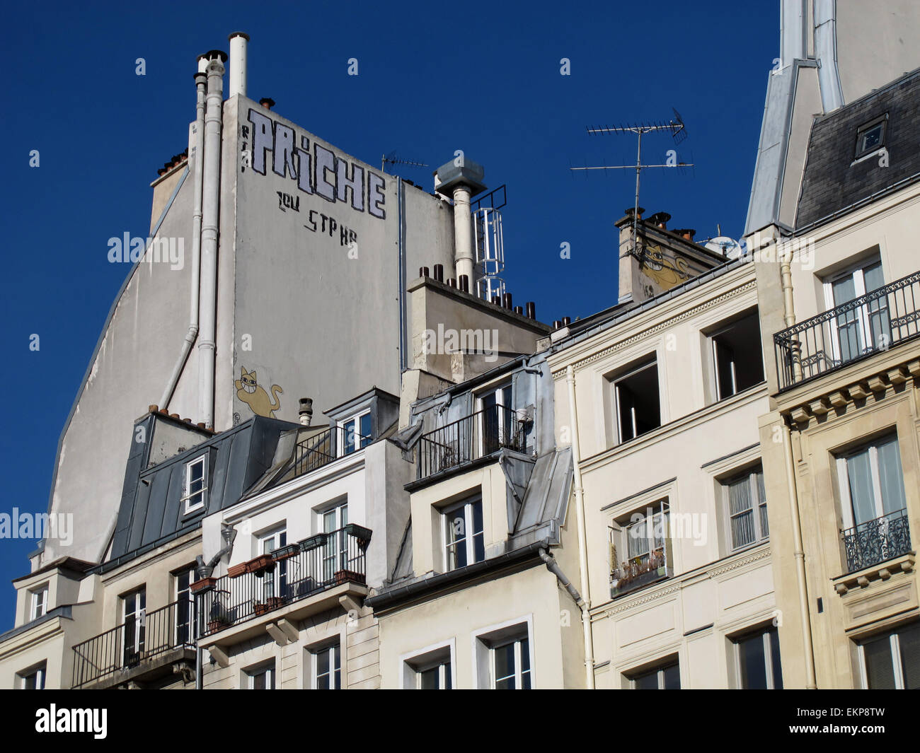 M. Chat Graffiti von Thoma Vuille, auf alten Paris Dächer und Schornstein, Frankreich Stockfoto