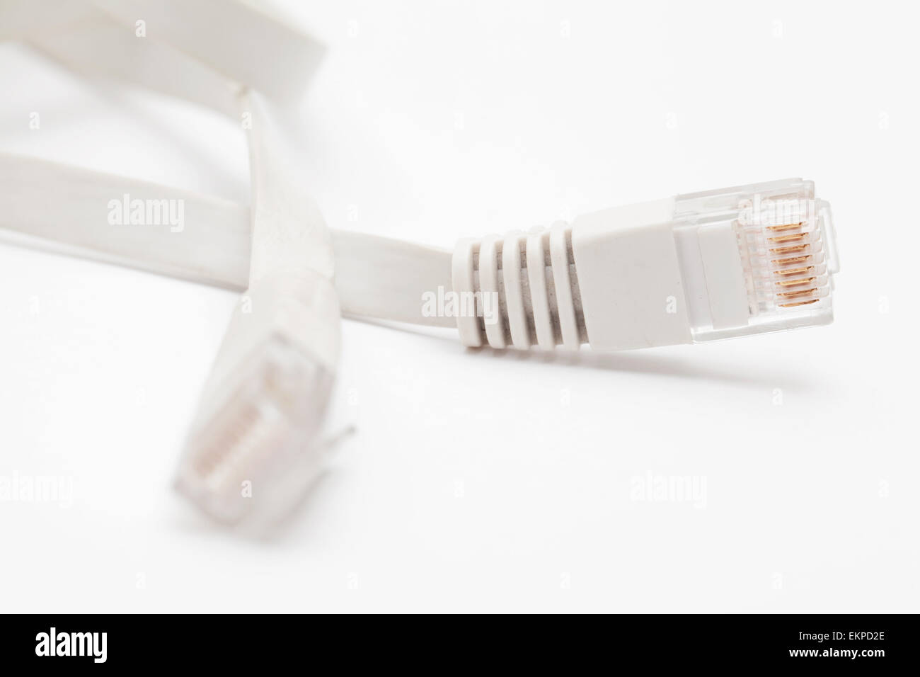 Ethernet-Kabelanschluss isoliert auf weißem Hintergrund Stockfoto