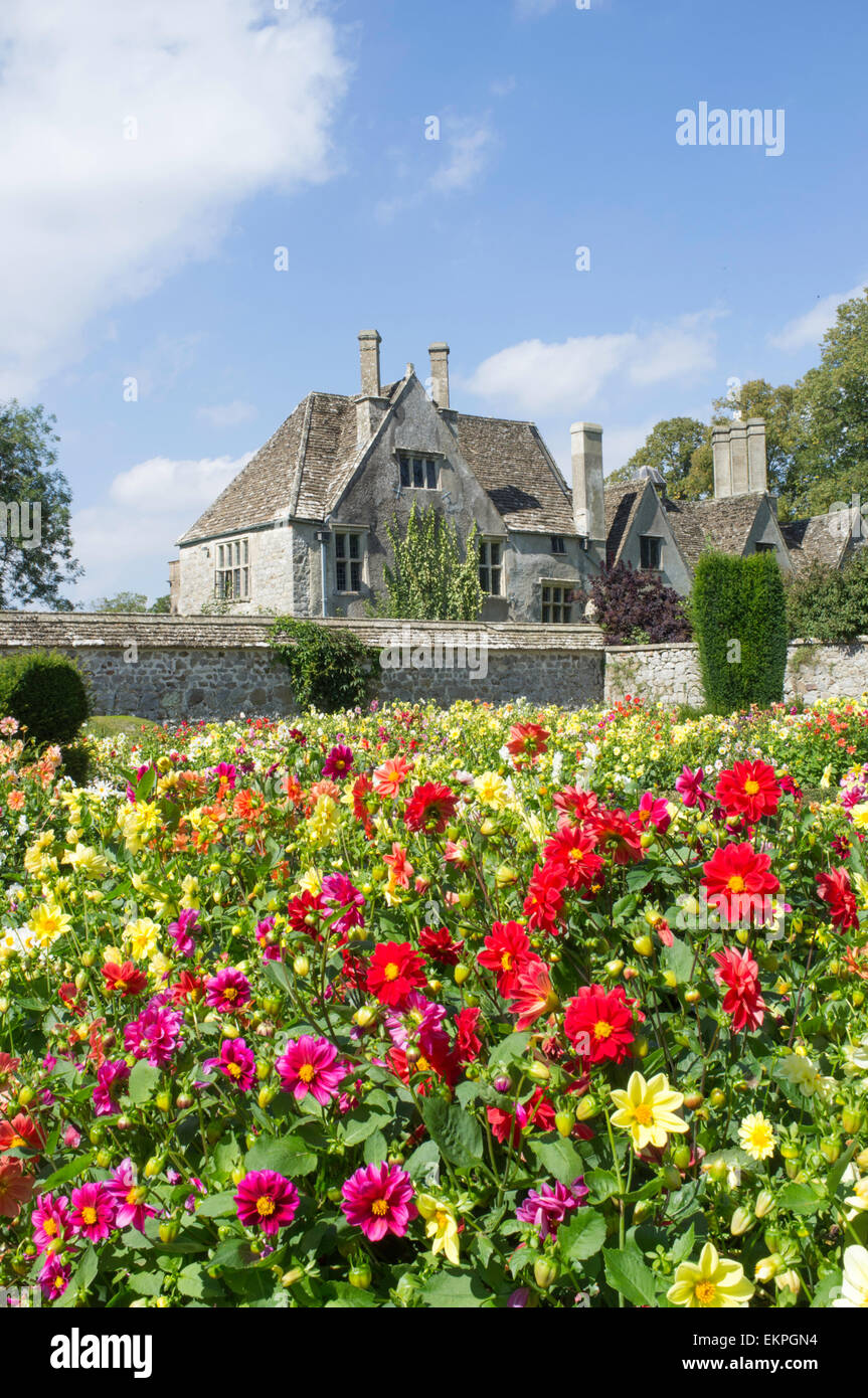 Dahlien wachsen im Garten von Avebury Manor & Garten, Avebury in der Nähe von Marlborough, Wiltshire, England, UK Stockfoto