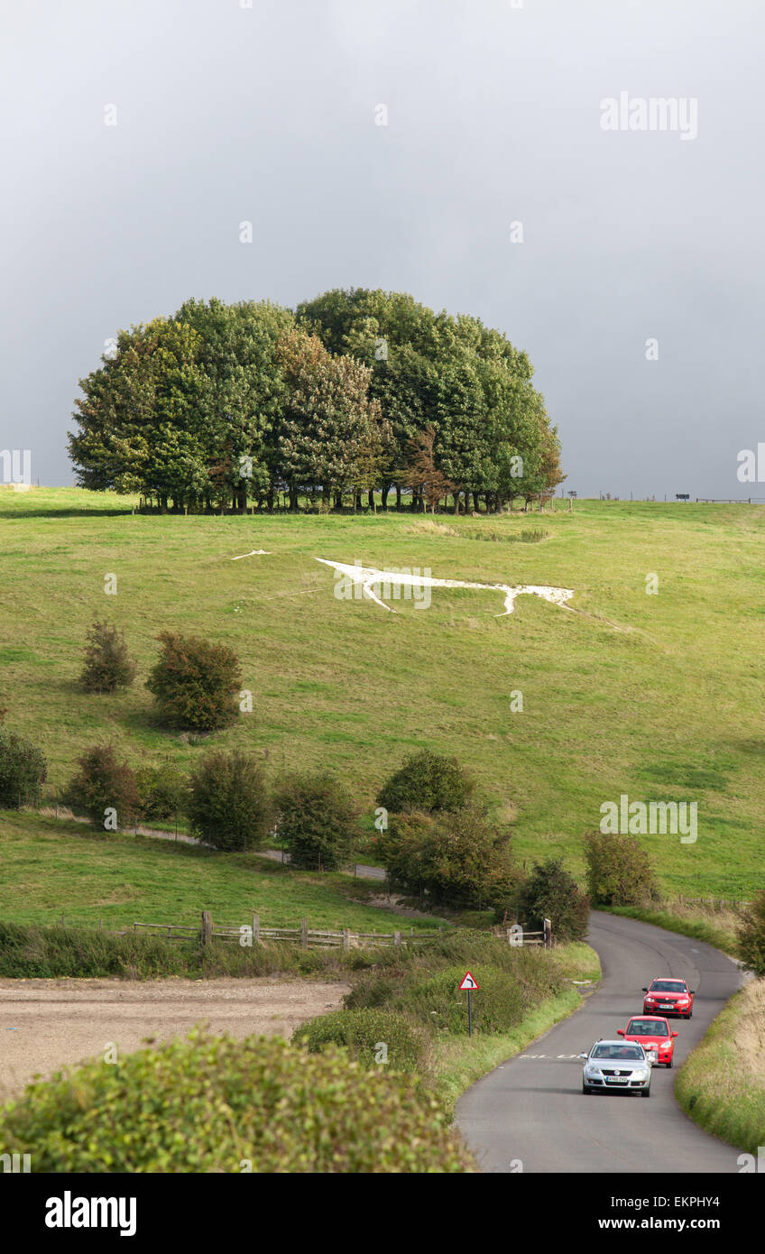 Hackpen Hill White Horse oder manchmal bekannt als die breiten Hinton Pferd oder breiten Hinton, Wiltshire, England, UK Stockfoto