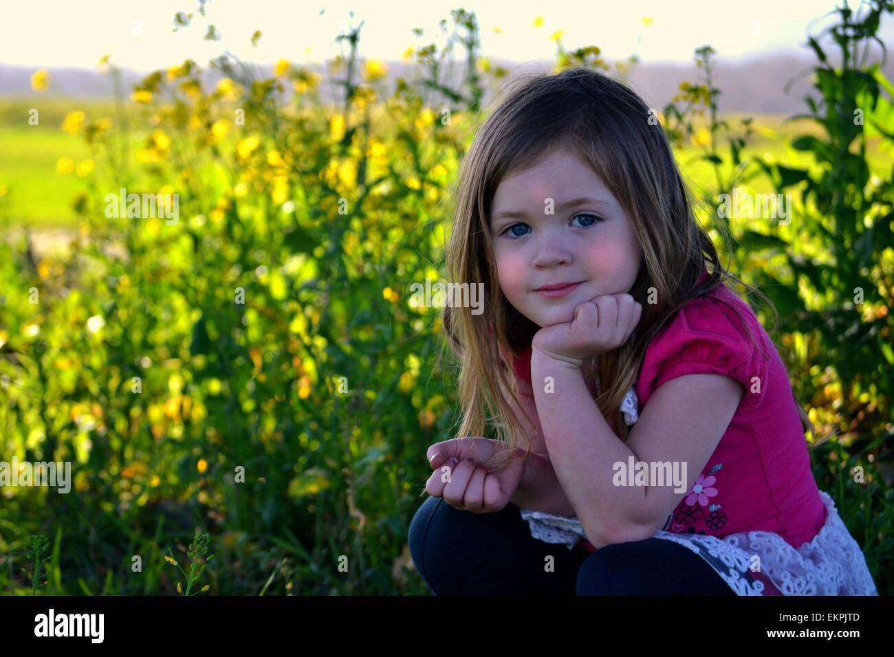Eine wunderschöne 4 jährige Mädchen posiert in einem hübschen gelben Blüten. Stockfoto