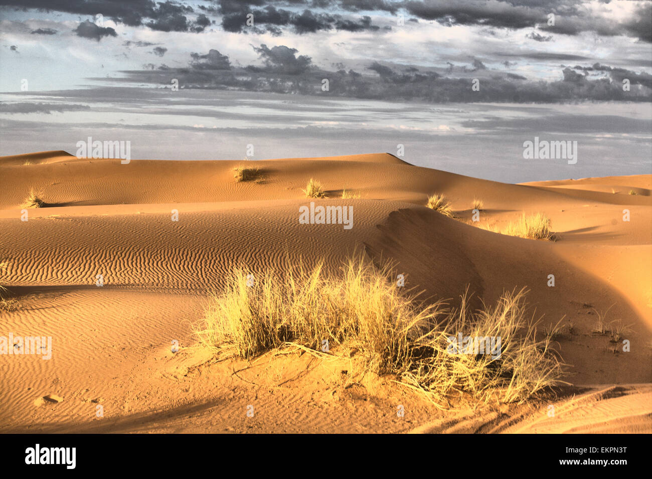 Einige Schleifen Hügel am Erg Chebbi in der Wüste Sahara.  Ers sind große Dünen von Wind-durchgebrannten Sand gebildet. Marokko Stockfoto