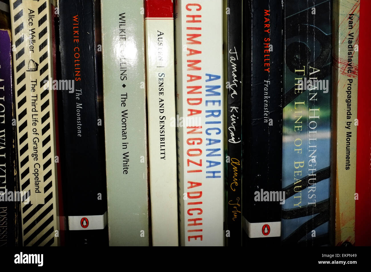 Eine Sammlung von Büchern in einem Bücherregal, darunter Werke von Chimamanda Ngozi Adichie, Alice Walker und Wilkie Collins. Stockfoto