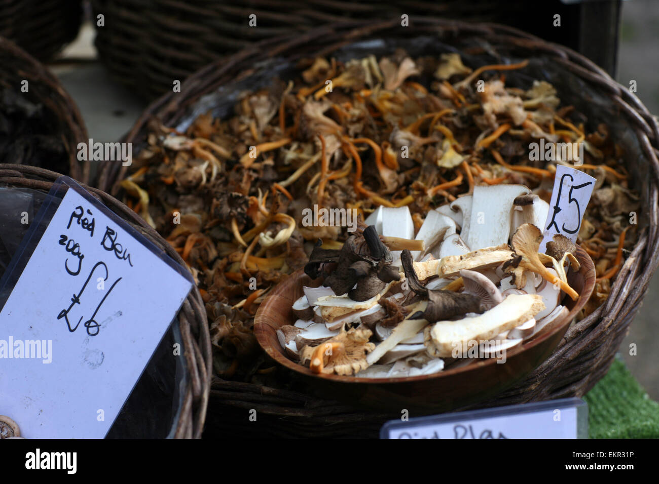 Spezialität Pilz Stand am Bauernmarkt Stockfoto