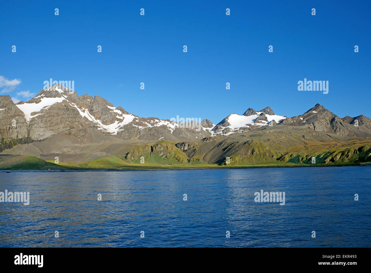 Rugged Küste Landschaft Nord-Westküste Süd-Georgien im frühen Morgenlicht Stockfoto