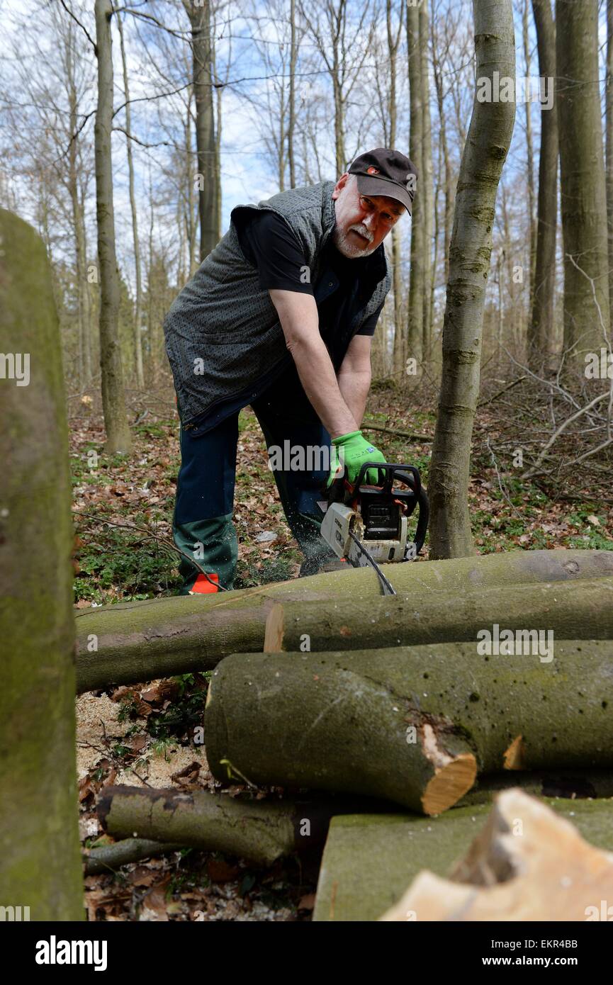 Schwerfällig im Wald, Deutschland, in der Nähe der Stadt Pöhlde, 11. April 2015. Foto: Frank Mai / picture Alliance Stockfoto