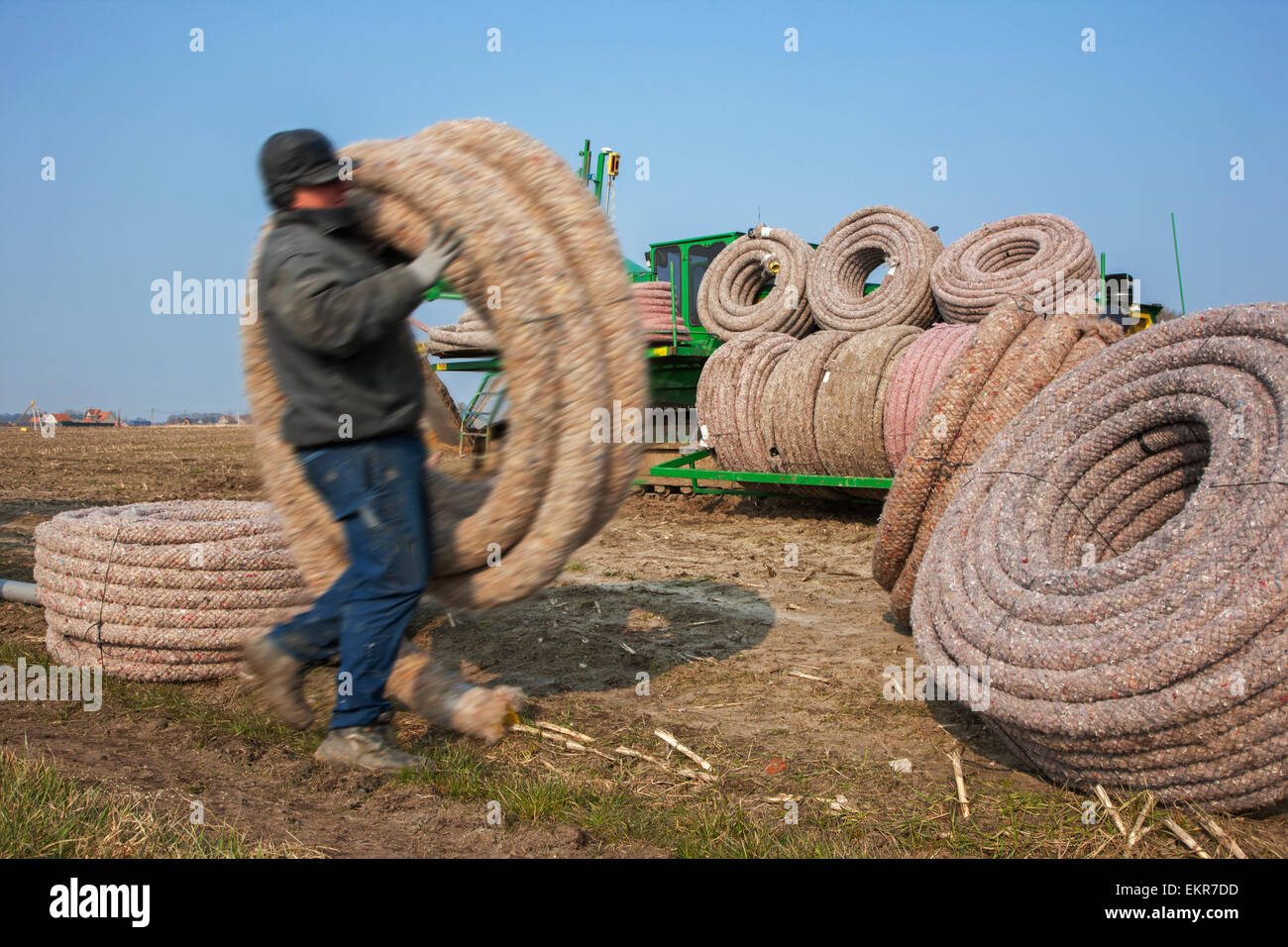 Auftragnehmer mit Drainagerohre laden Entwässerung Trencher / Fliese Pflügen auf Ackerland Stockfoto