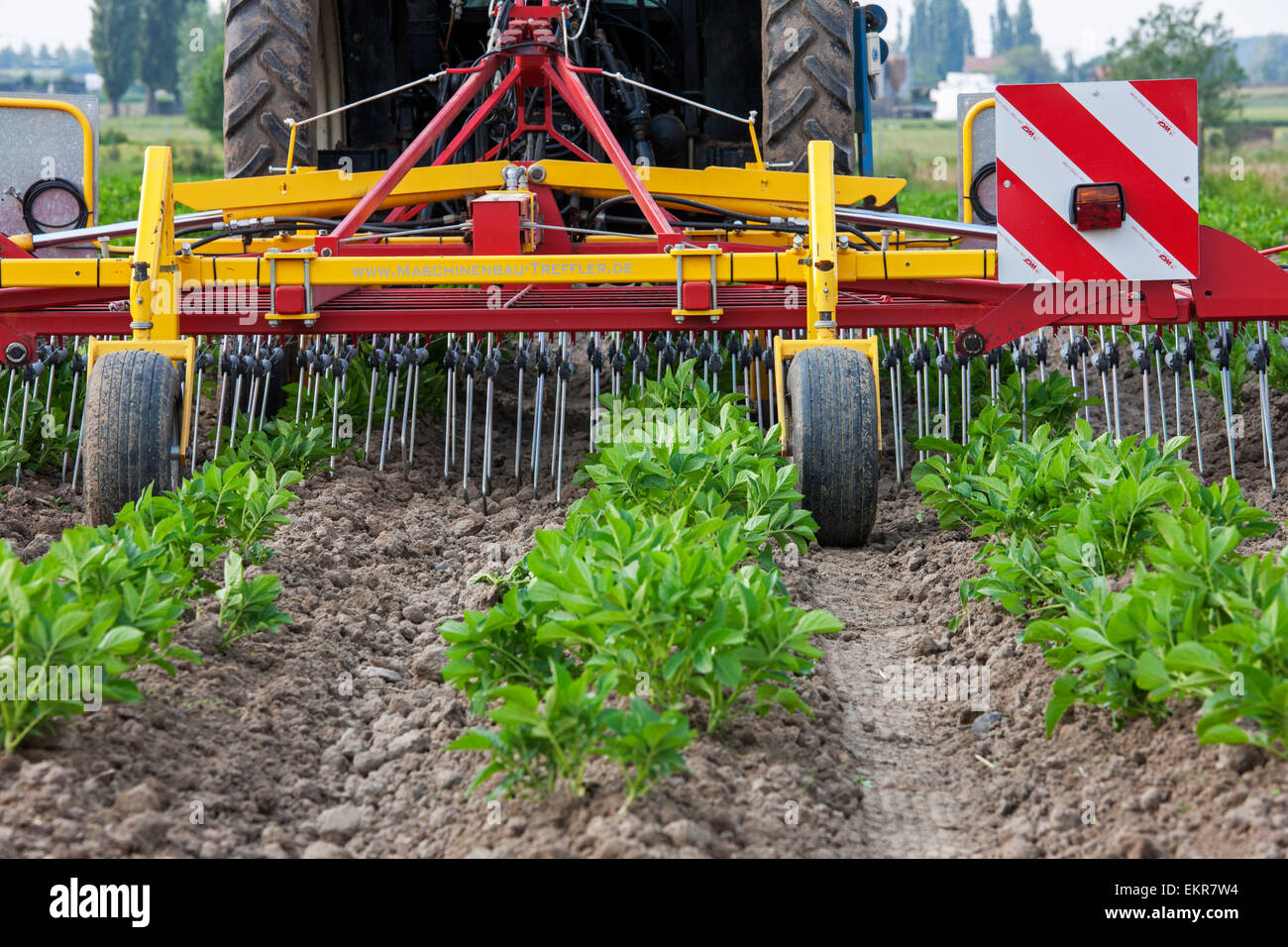 Traktor pulling Feder Zinken Unkraut Egge / spring Tine Rasen Egge auf Ackerland Stockfoto